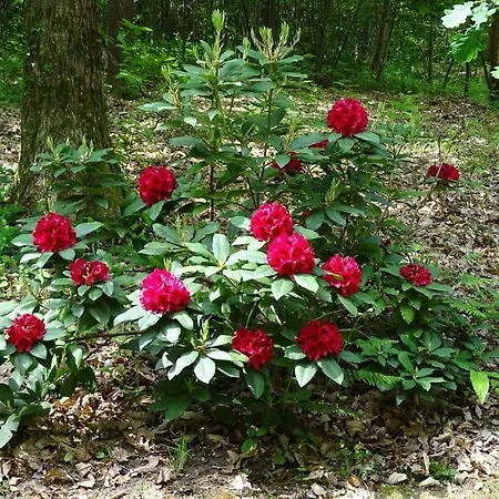 De Montheard Bed & Breakfast