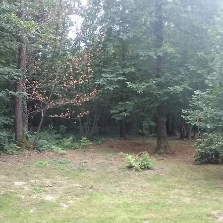 De Montheard * La Bazoge