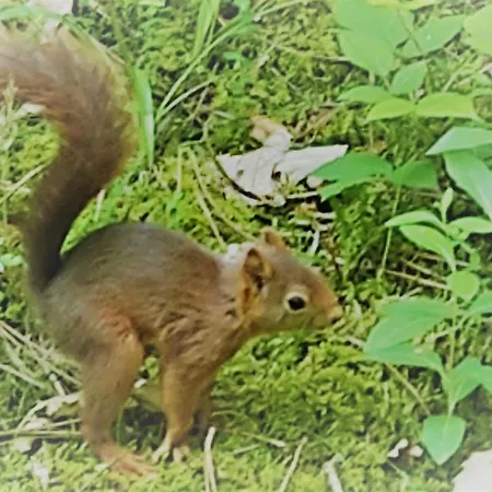 De Montheard Bed & Breakfast *