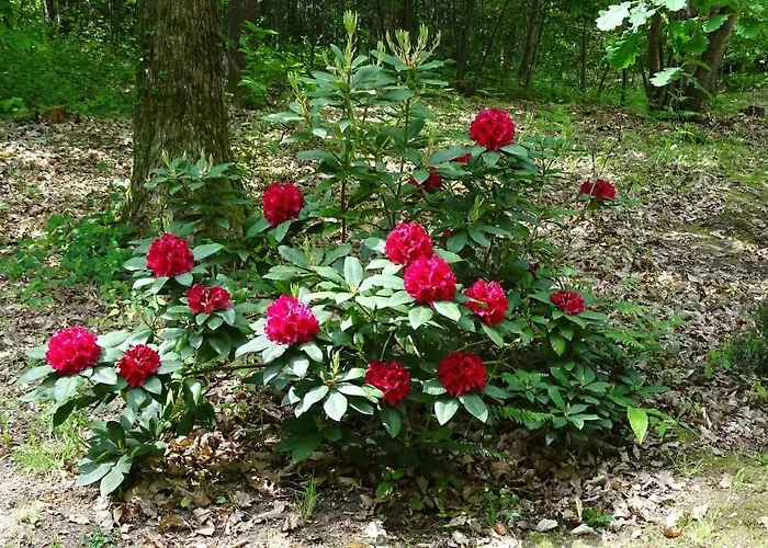 De Monthéard Bed and breakfast