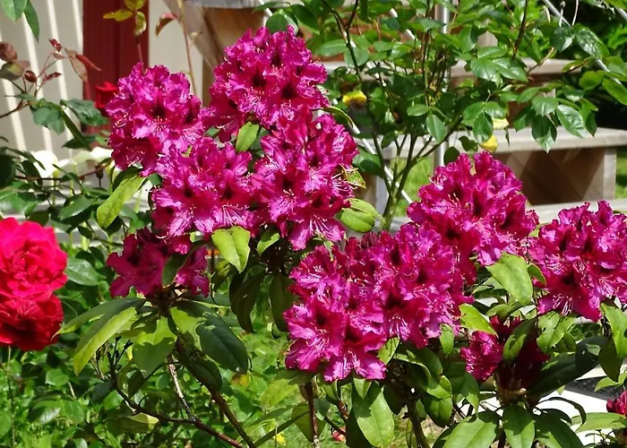 B&B De Montheard La Bazoge